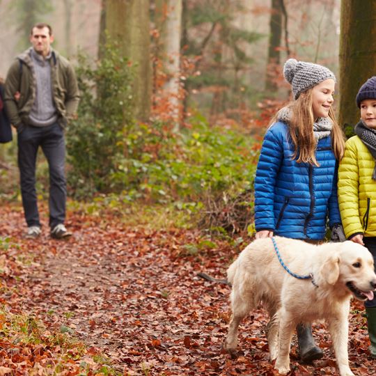 Coventry foster care agency