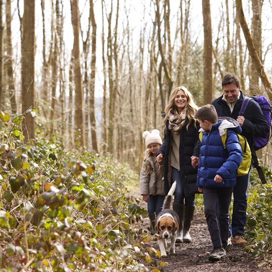 foster care agency long eaton