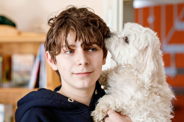 What to Expect in Your First Year as a Foster Carer